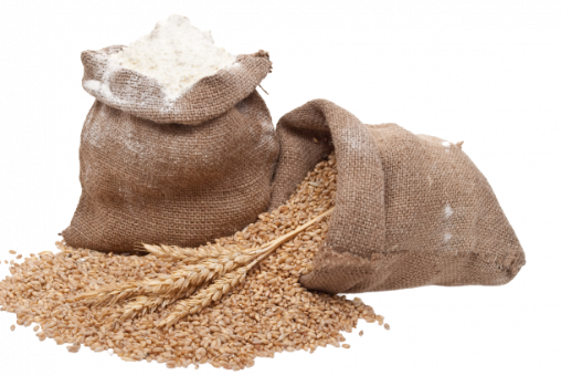 flour-and-wheat-grain-2021-08-27-14-00-40-utc-removebg-preview